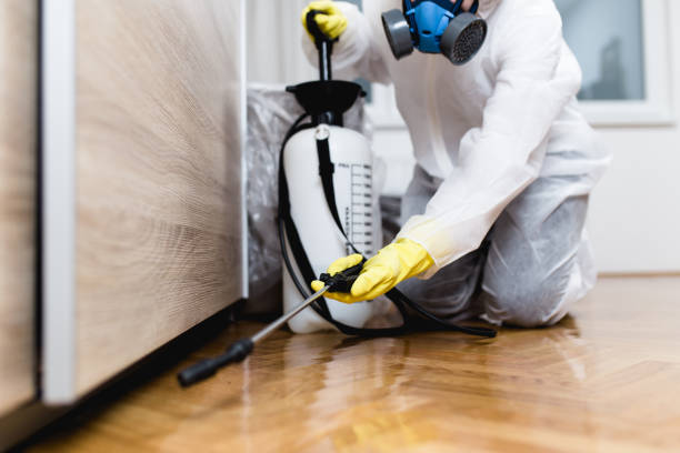 Best Emergency Pest Control  in Spencerville, NM