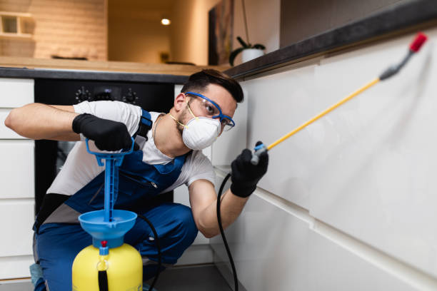 Best Rat Extermination Near Me  in Spencerville, NM