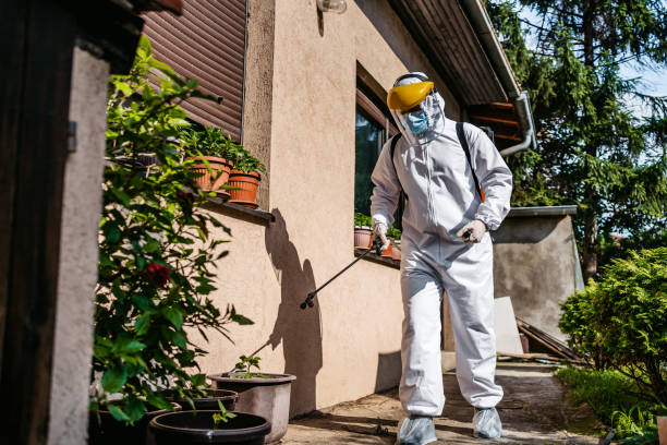 Best Pest Inspection Near Me  in Spencerville, NM