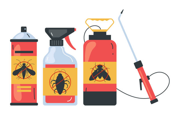 Best Insect Control  in Spencerville, NM