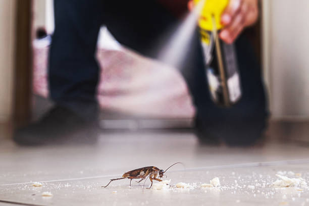 Best Best Pest Control Companies  in Spencerville, NM