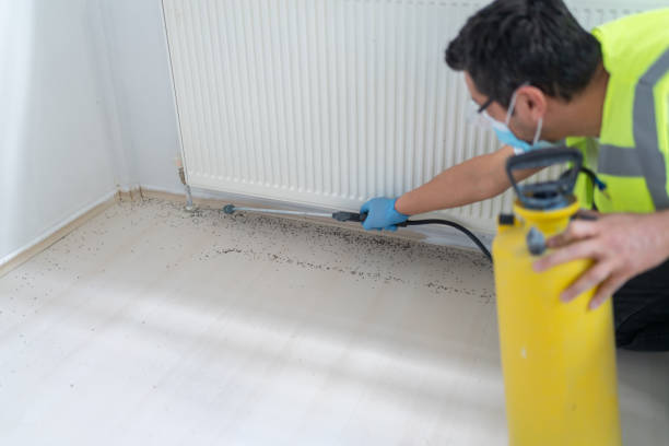 Best Pest Removal Services  in Spencerville, NM